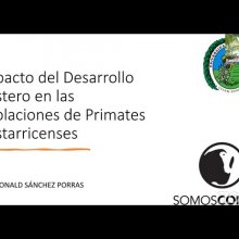 Conferencia: "Impacto del desarrollo costero en la población de primates costarricenses"