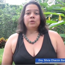"Avances en el estudio de los tsunamis en Costa Rica" por la Dra. Silvia Chacón Barrantes.