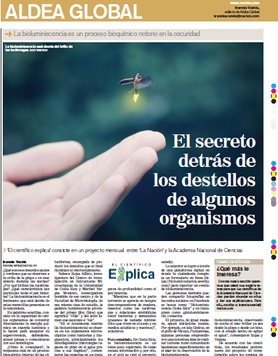 Proyecto ‘El científico explica’ Tema: El secreto detrás de los destellos de algunos organismos