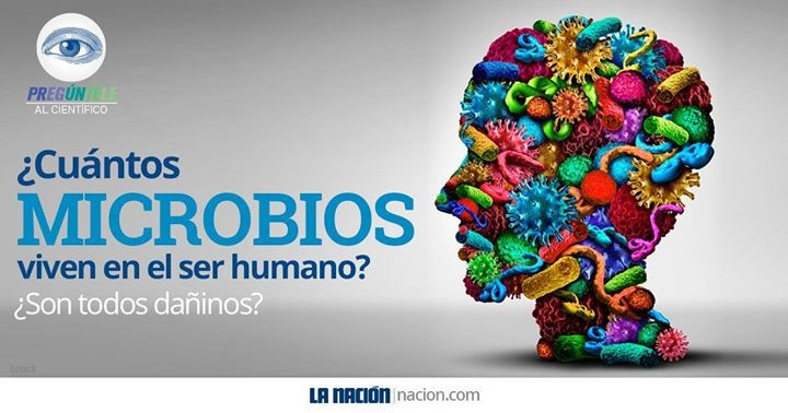 “Pregúntele al Científico”, proyecto de la Academia Nacional de Ciencias y La Nación